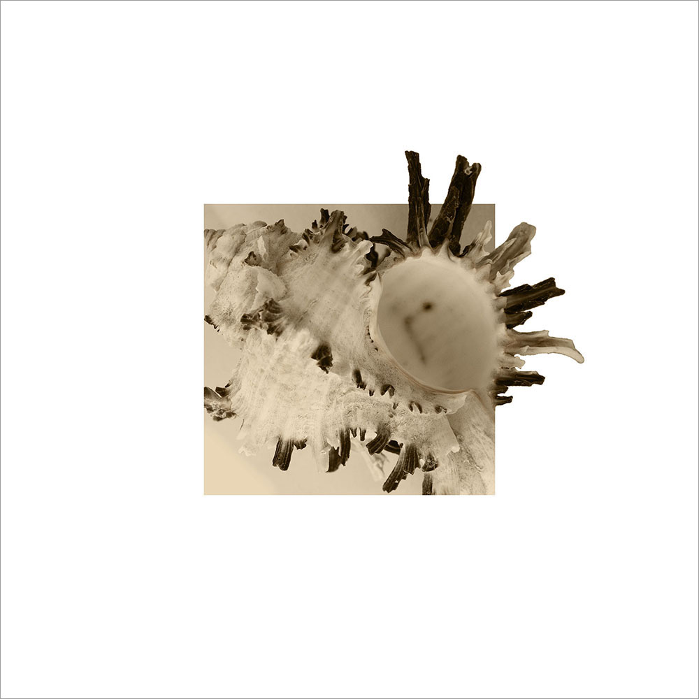 AL00362