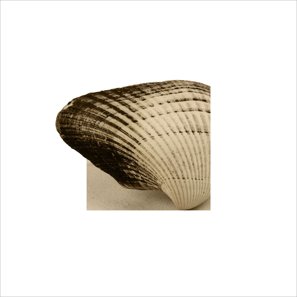AL00367