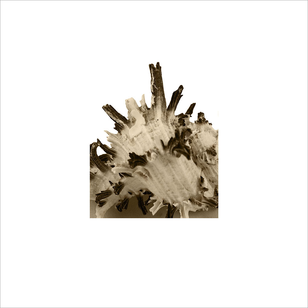 AL00369