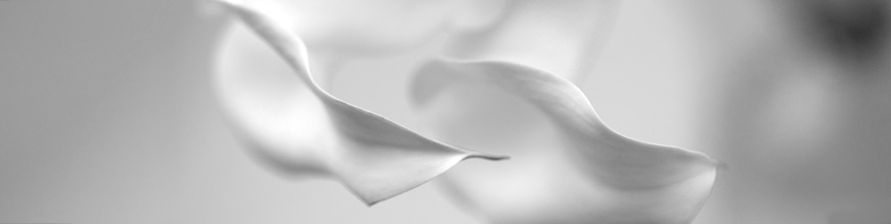 AL00403LONG