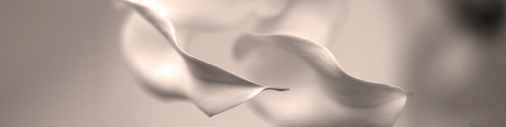 AL00403-SE2