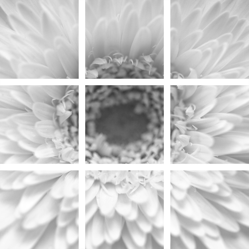 AL00405_9P