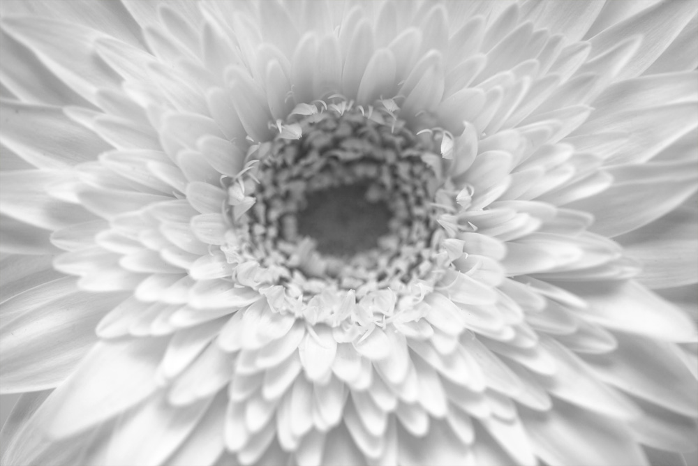 AL00405