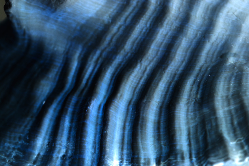 AL00418