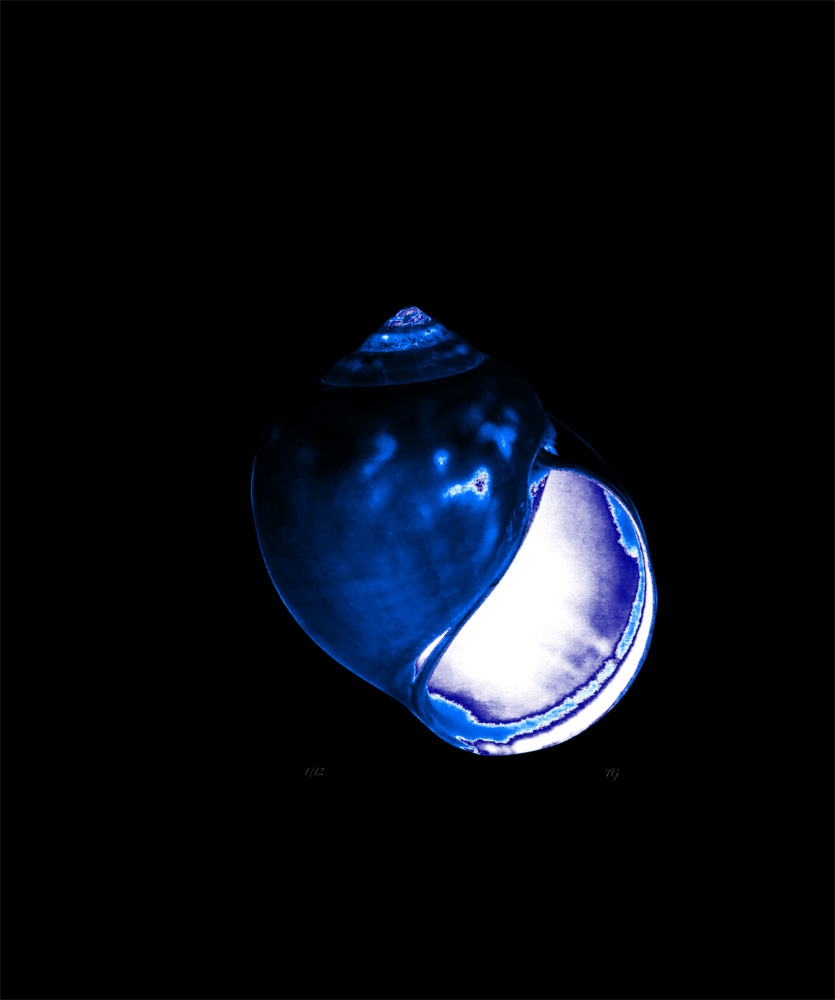 AL00419A