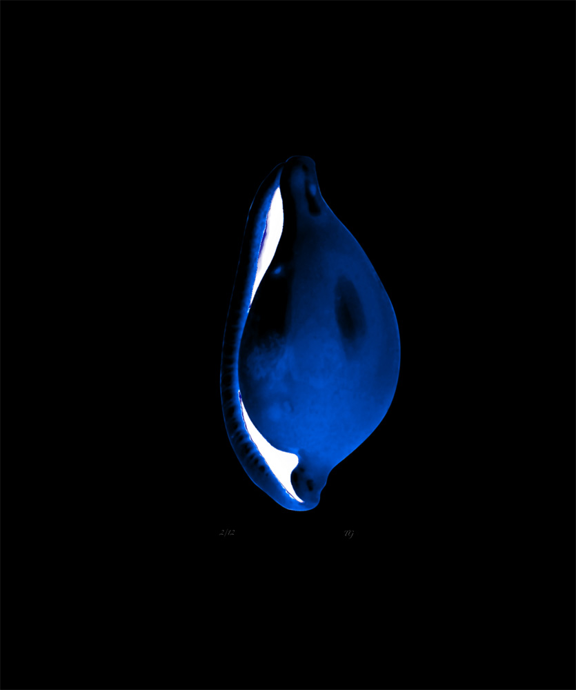 AL00419B