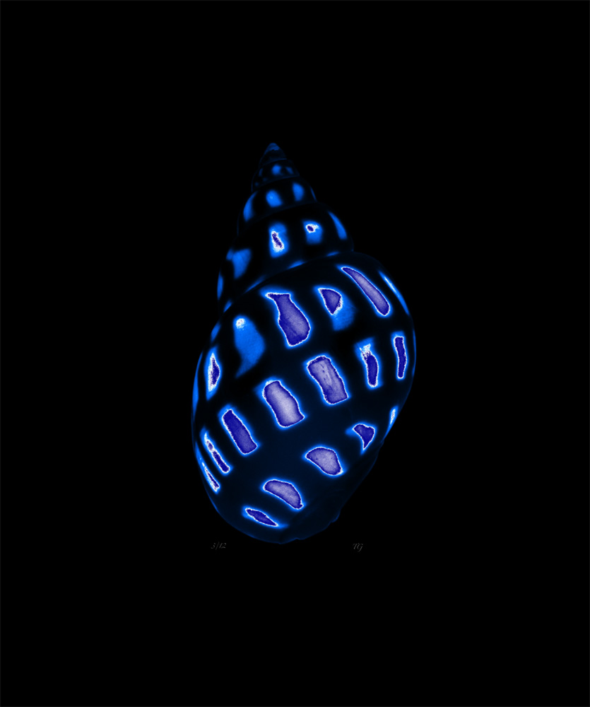 AL00419C