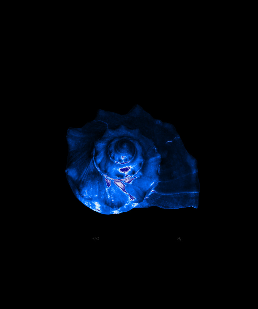 AL00419D