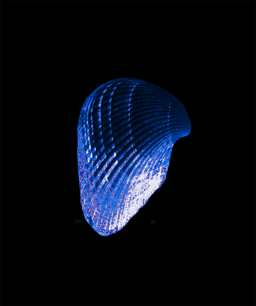 AL00419E