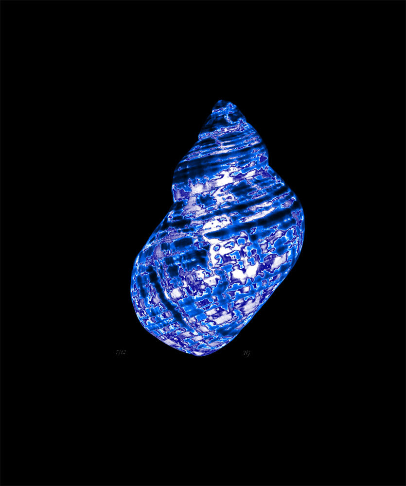 AL00419G