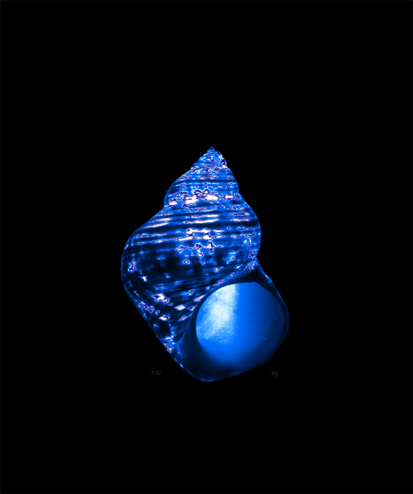 AL00419I