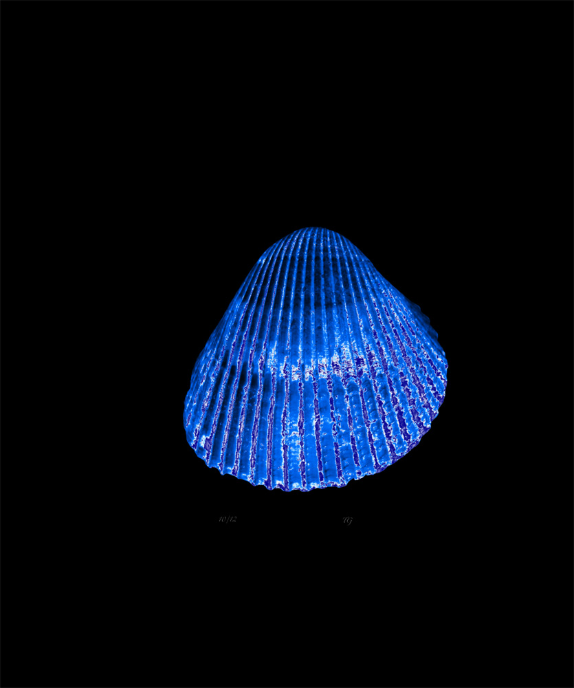 AL00419J