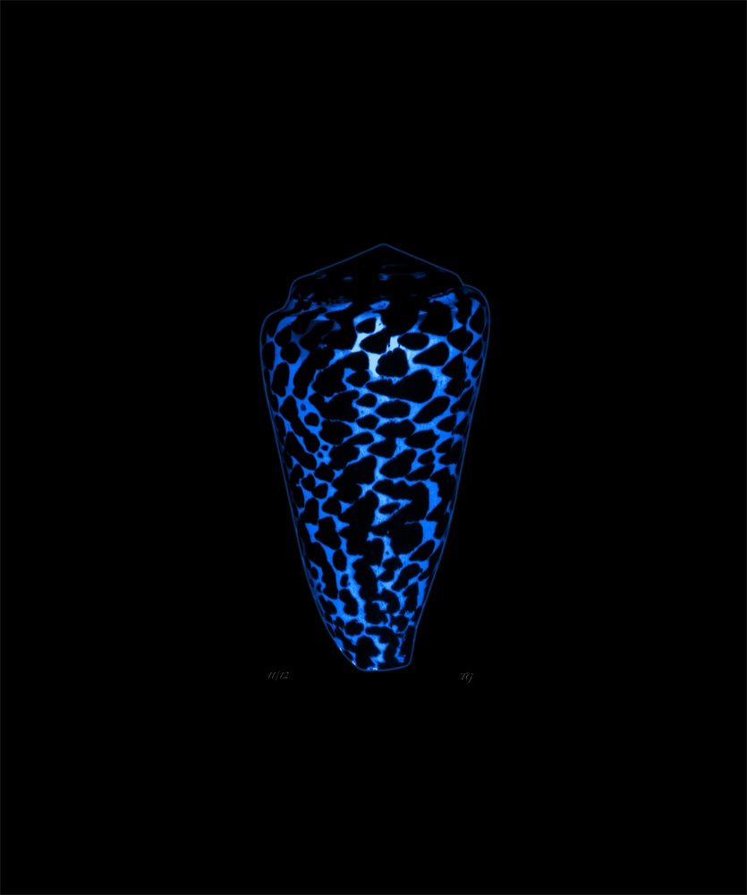 AL00419K