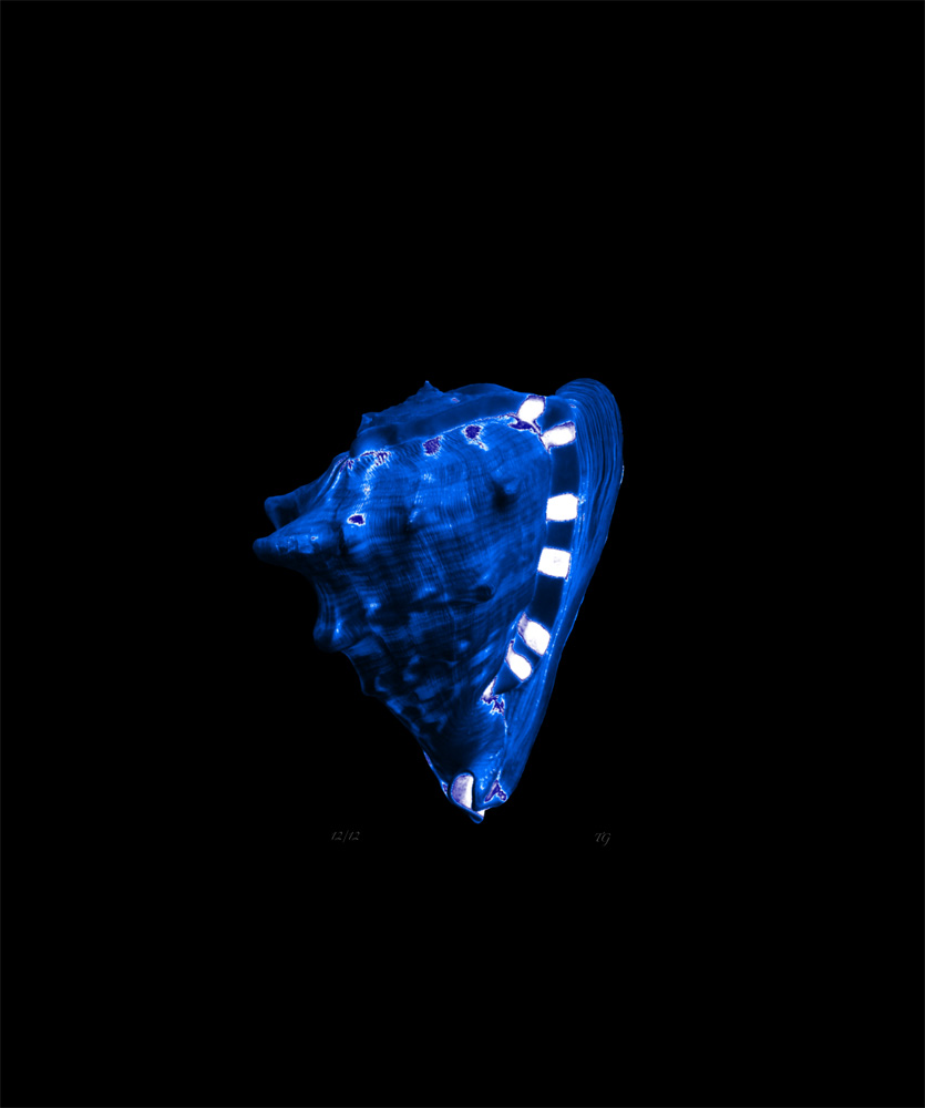 AL00419L