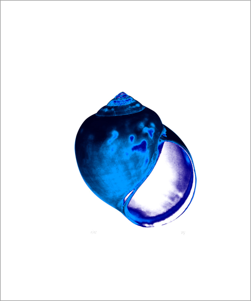 AL00421_1 more colors