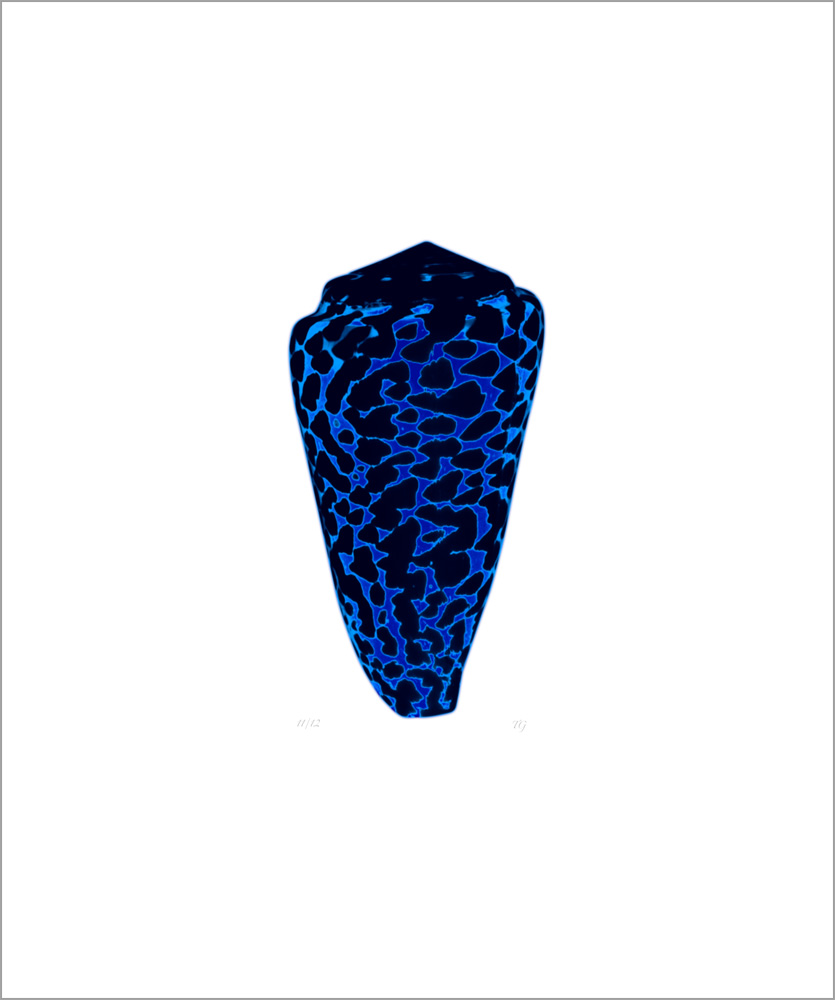 AL00421_11 more colors