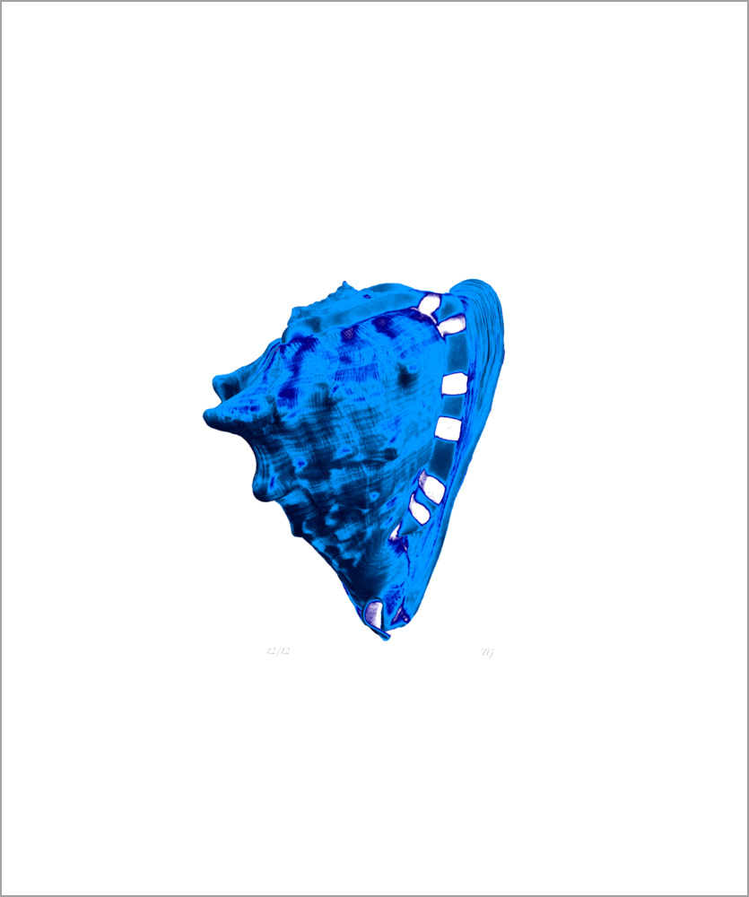 AL00421_12 more colors