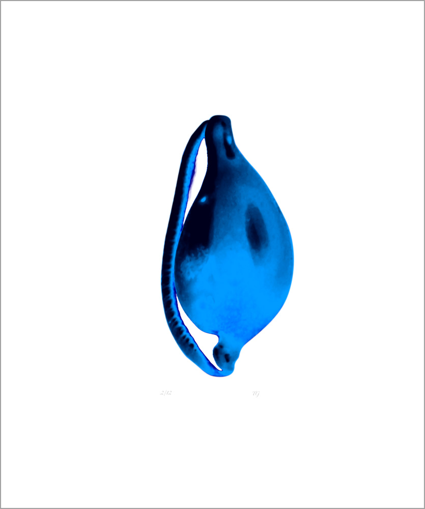 AL00421_2 more colors