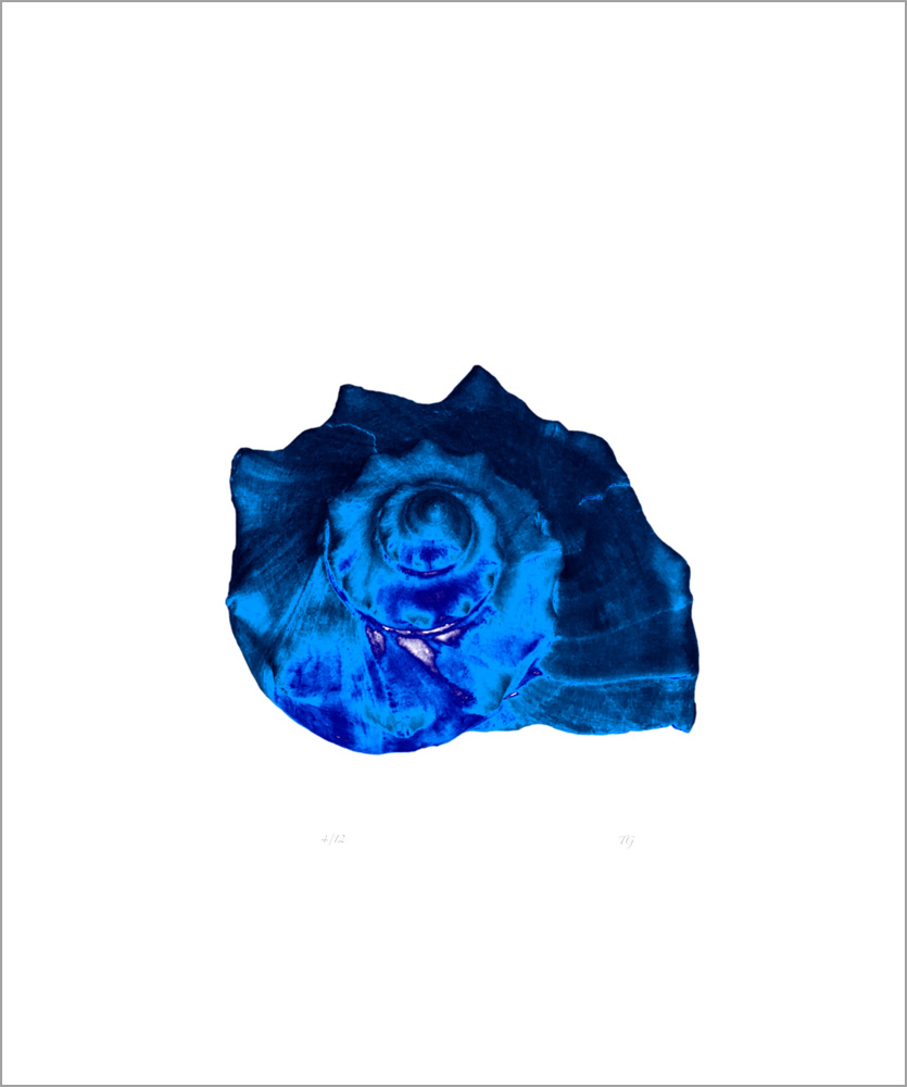AL00421_4 more colors