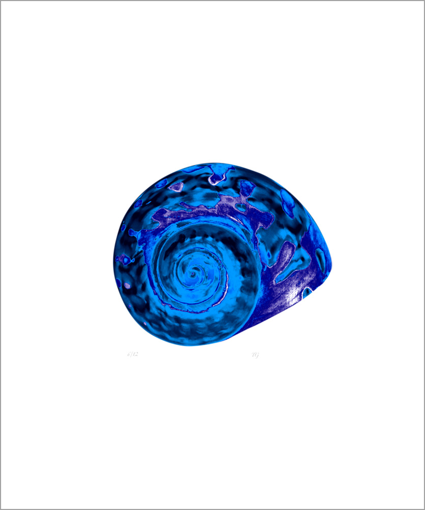 AL00421_6 more colors