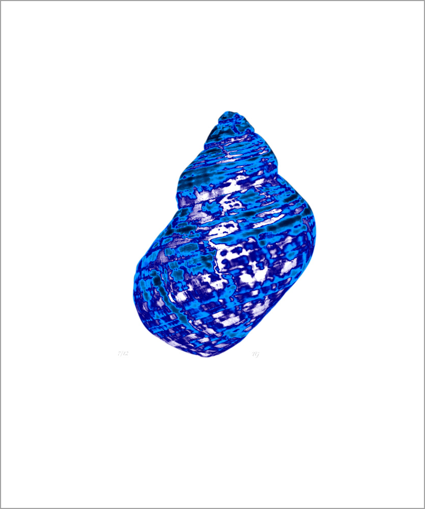 AL00421_7 more colors