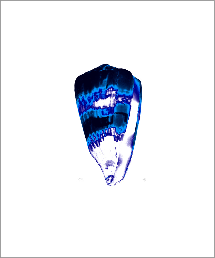AL00421_8 more colors