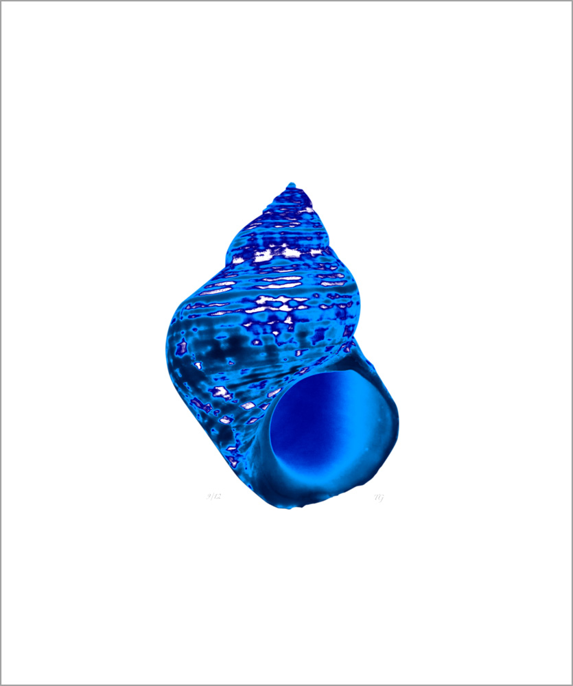 AL00421_9 more colors