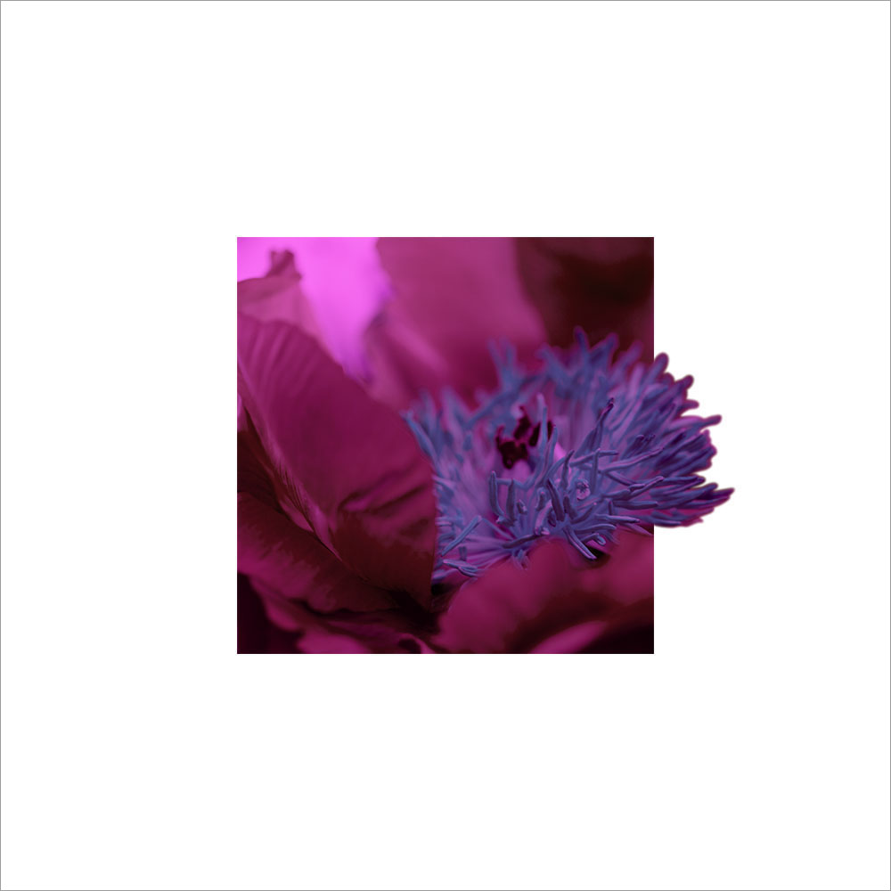 AL00461_WB