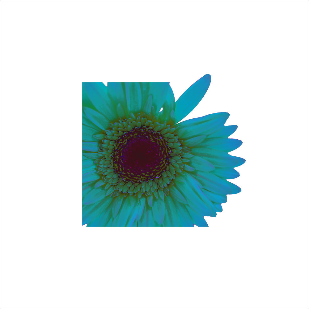 AL00462_WB