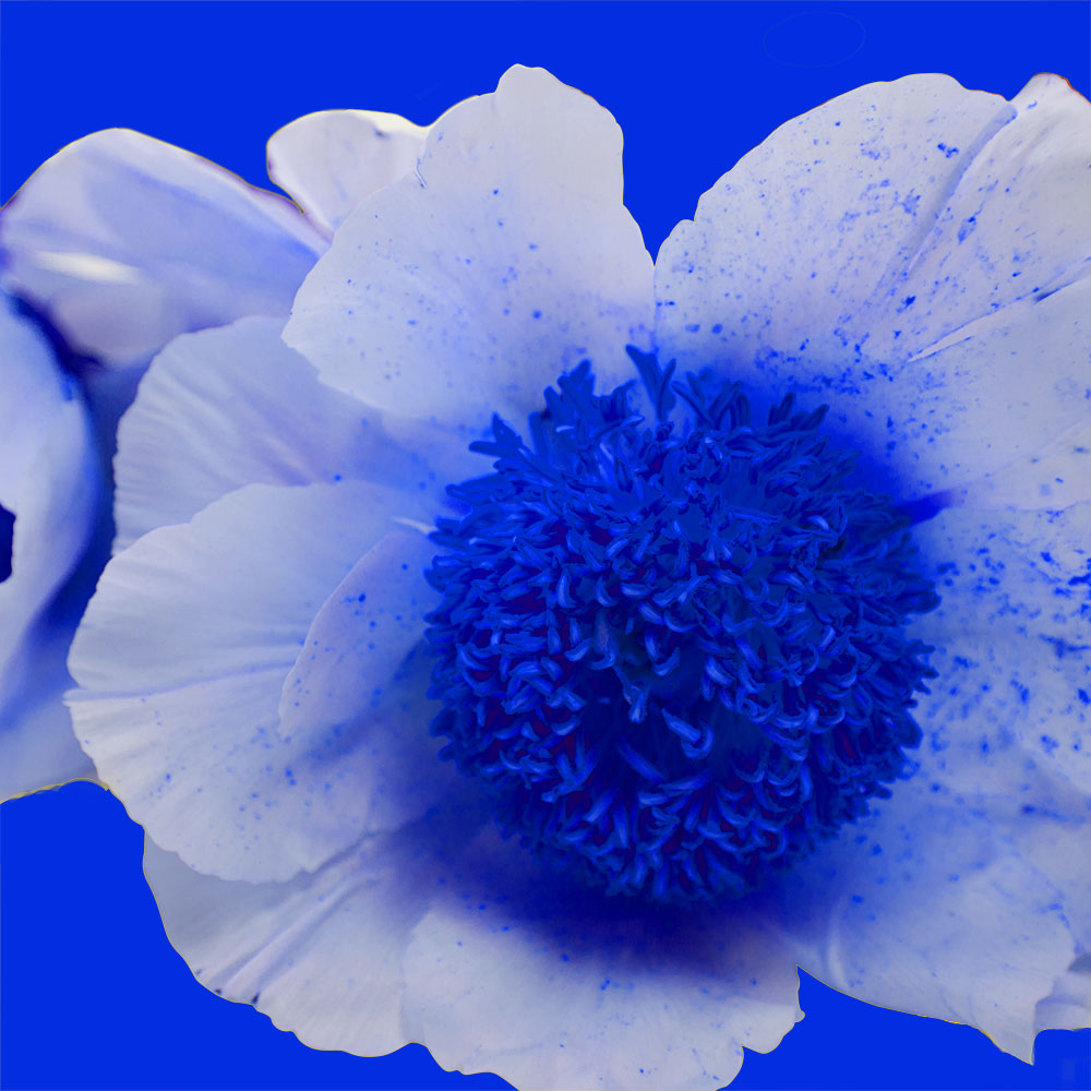 AL00463