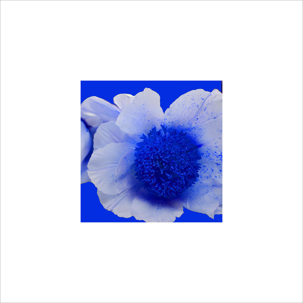 AL00463_WB