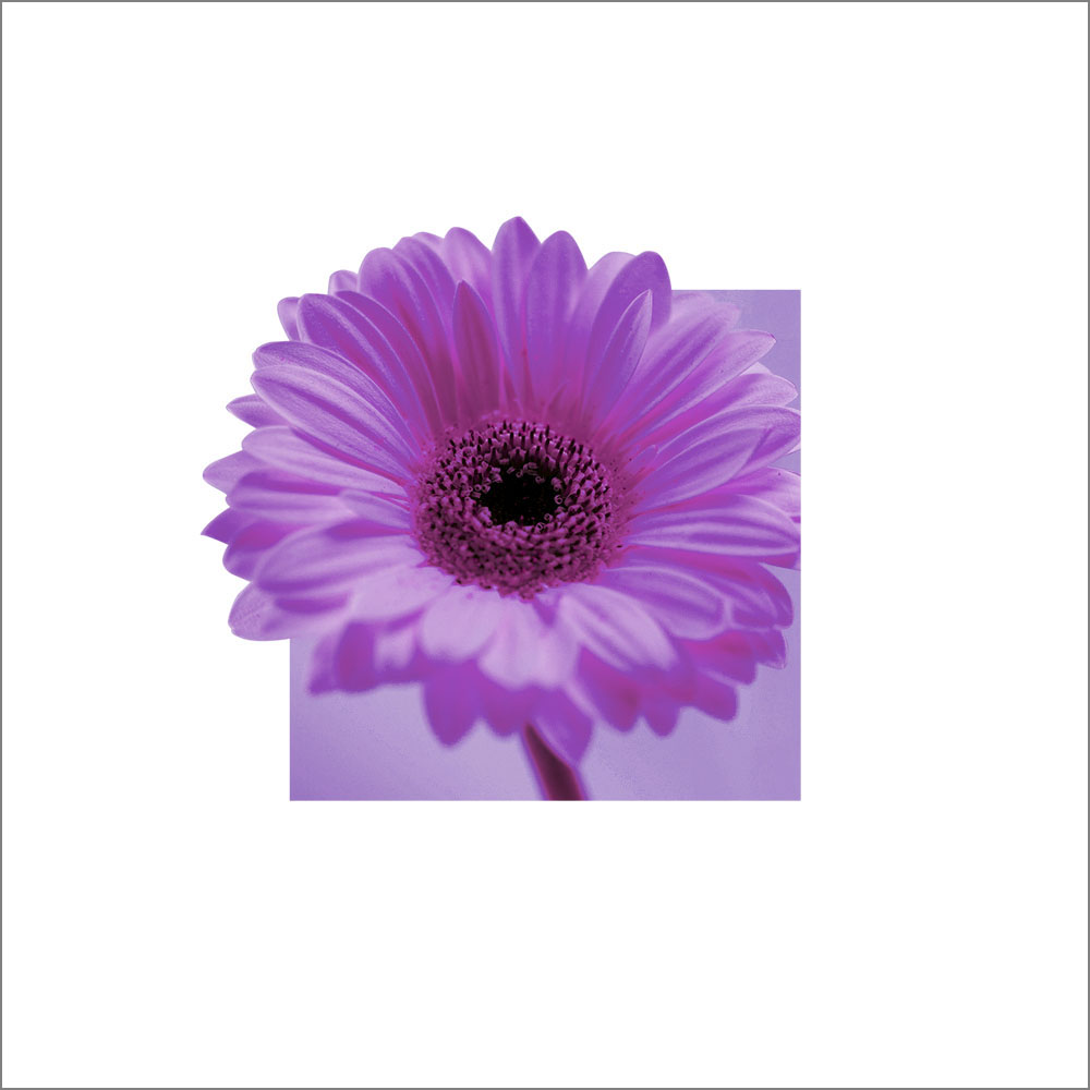 AL00464_WB