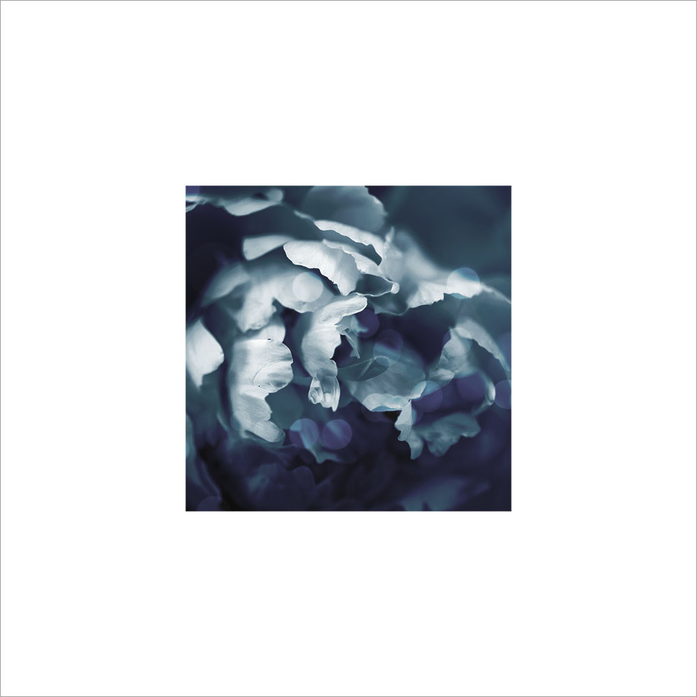 AL00466_WB