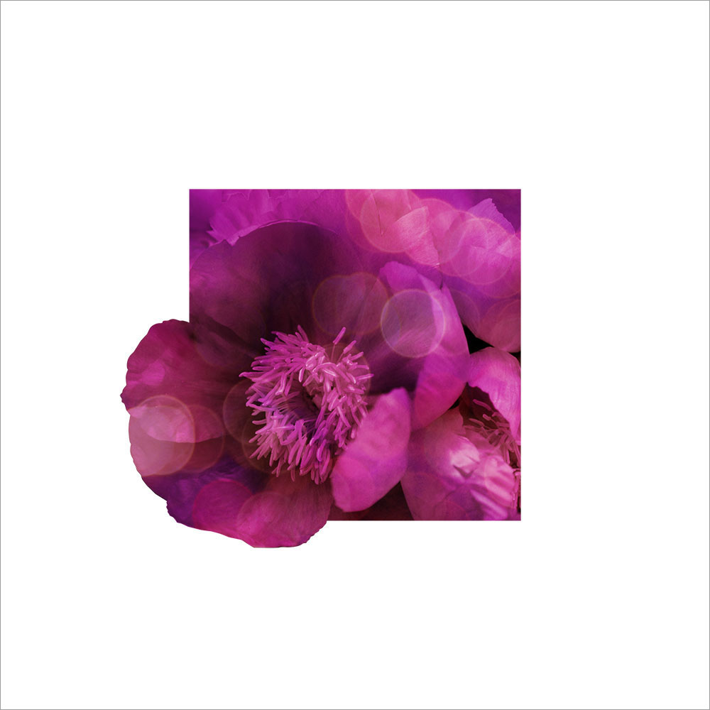 AL00467_WB