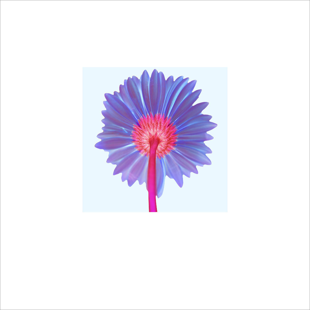 AL00470_WB