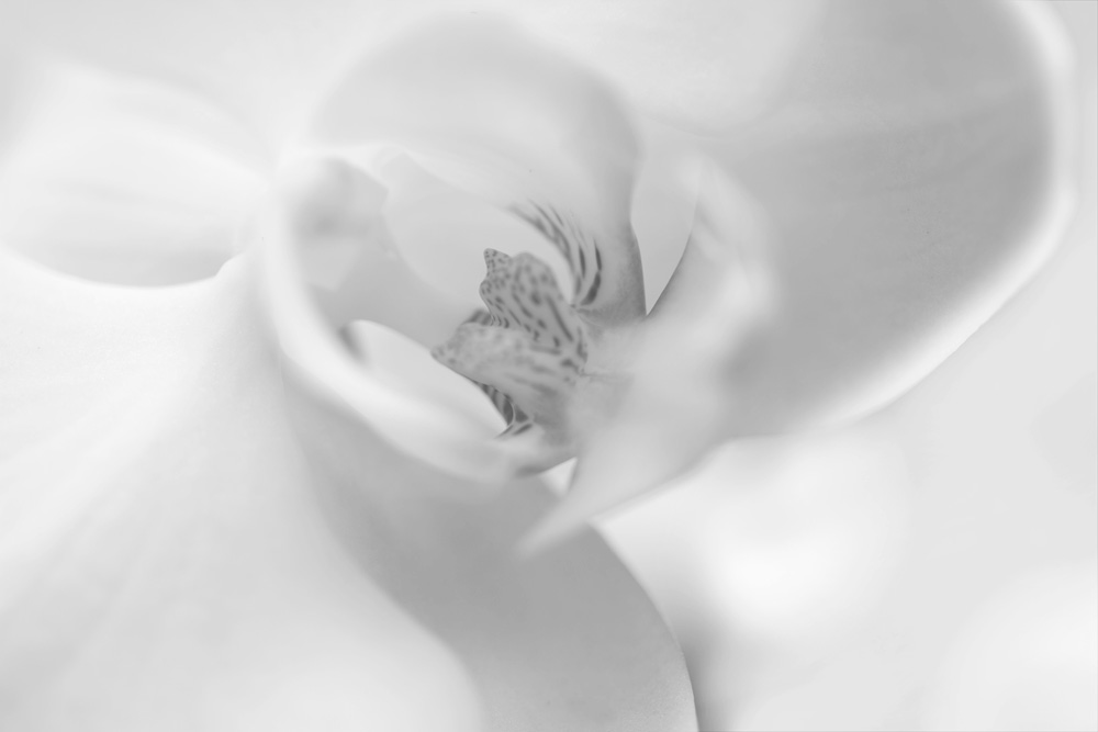 AL00480