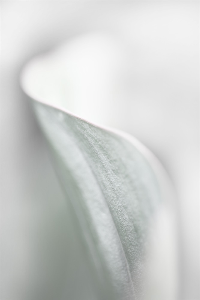 AL00485