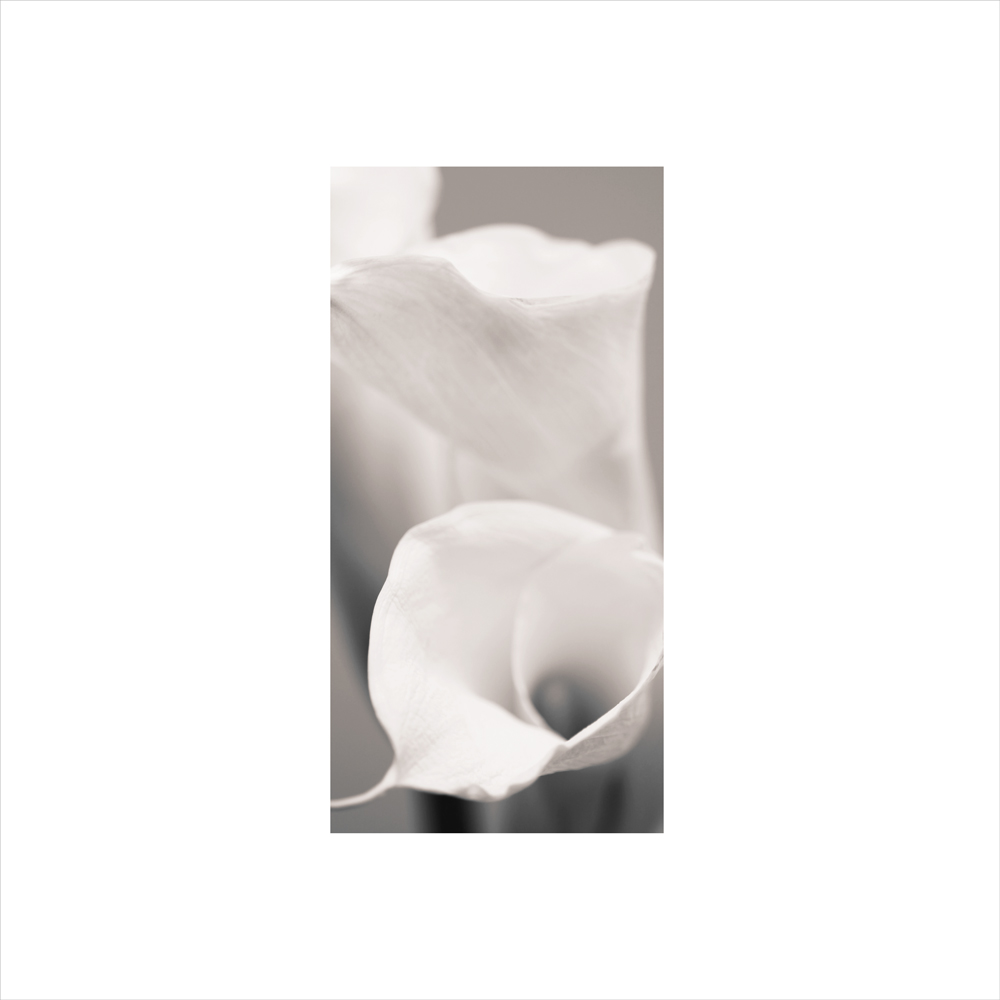 AL00519