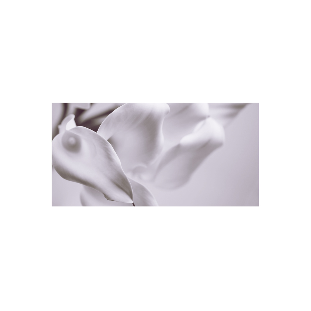 AL00523