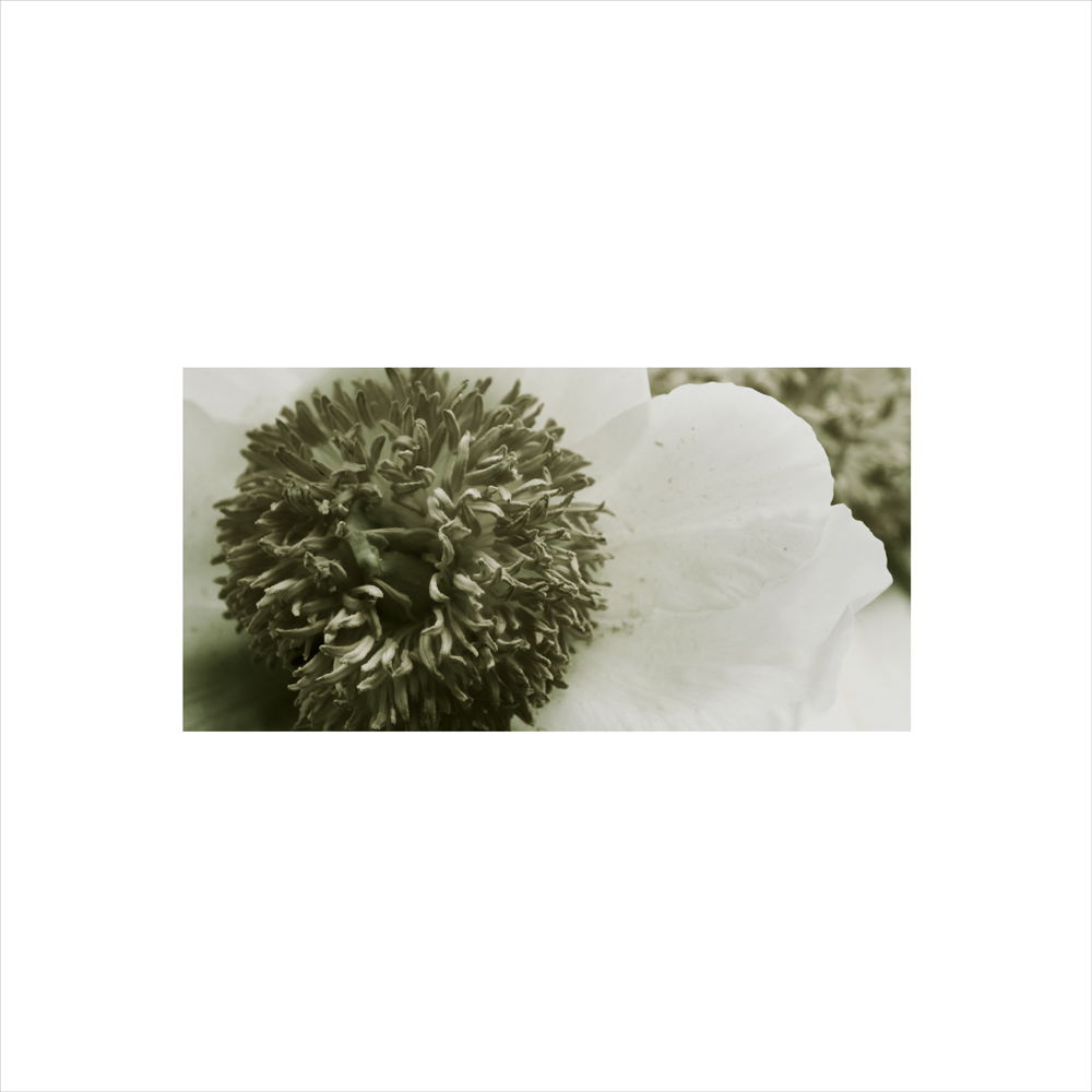 AL00533