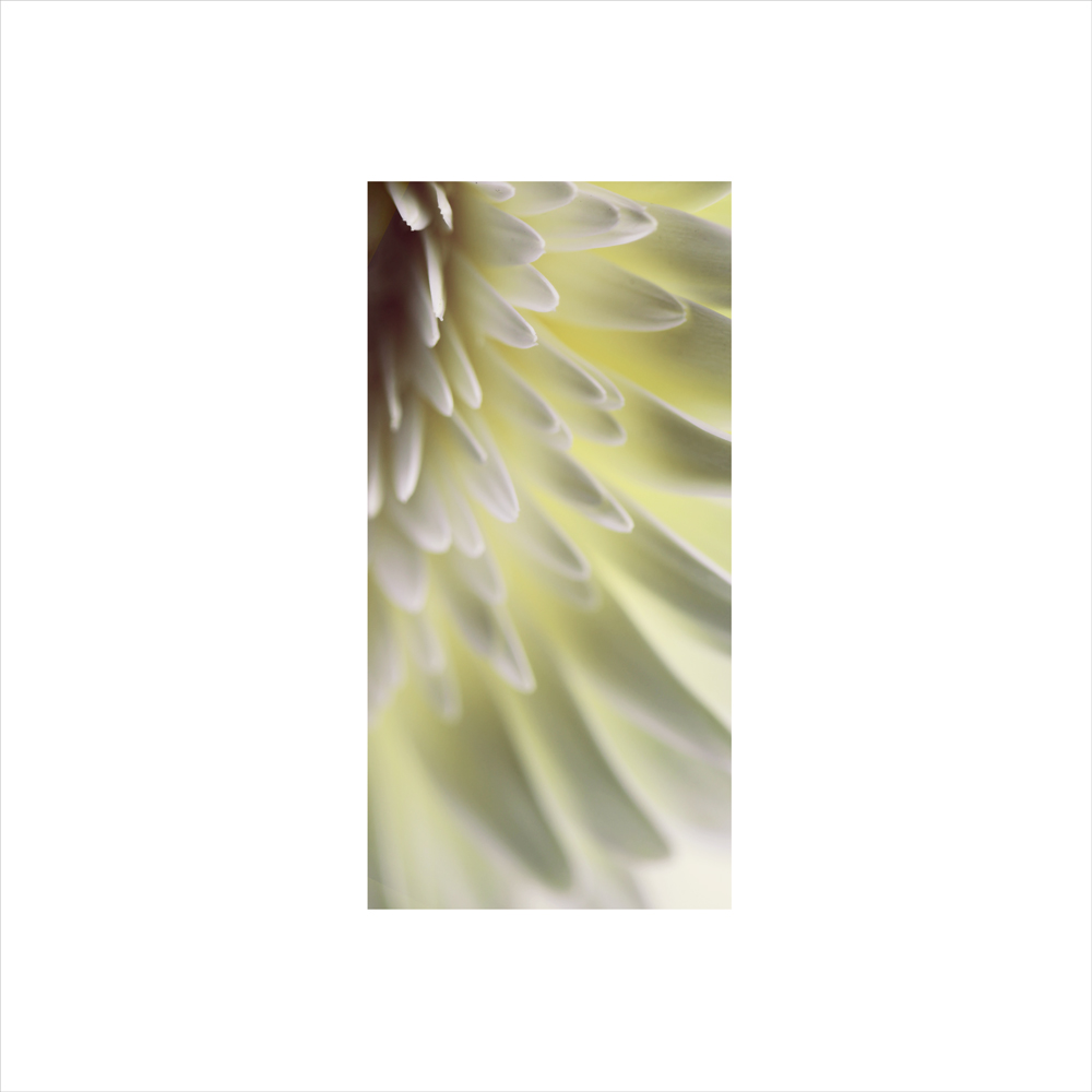 AL00535