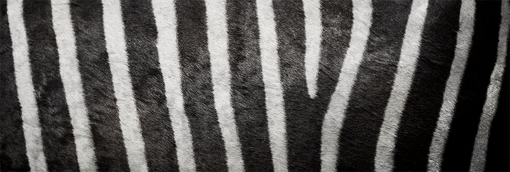 AL00678
