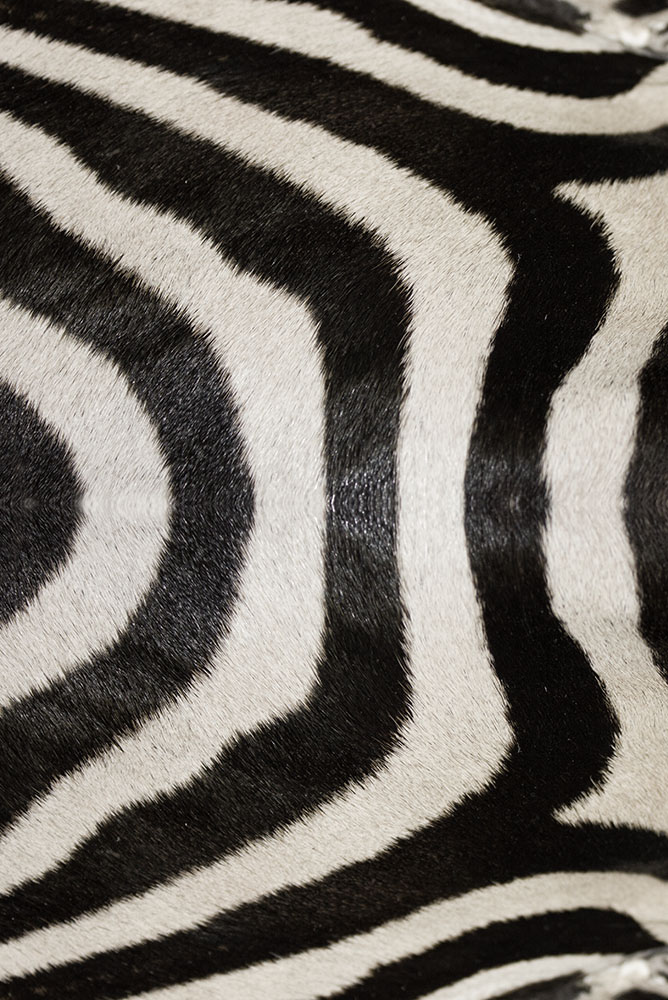 AL00684