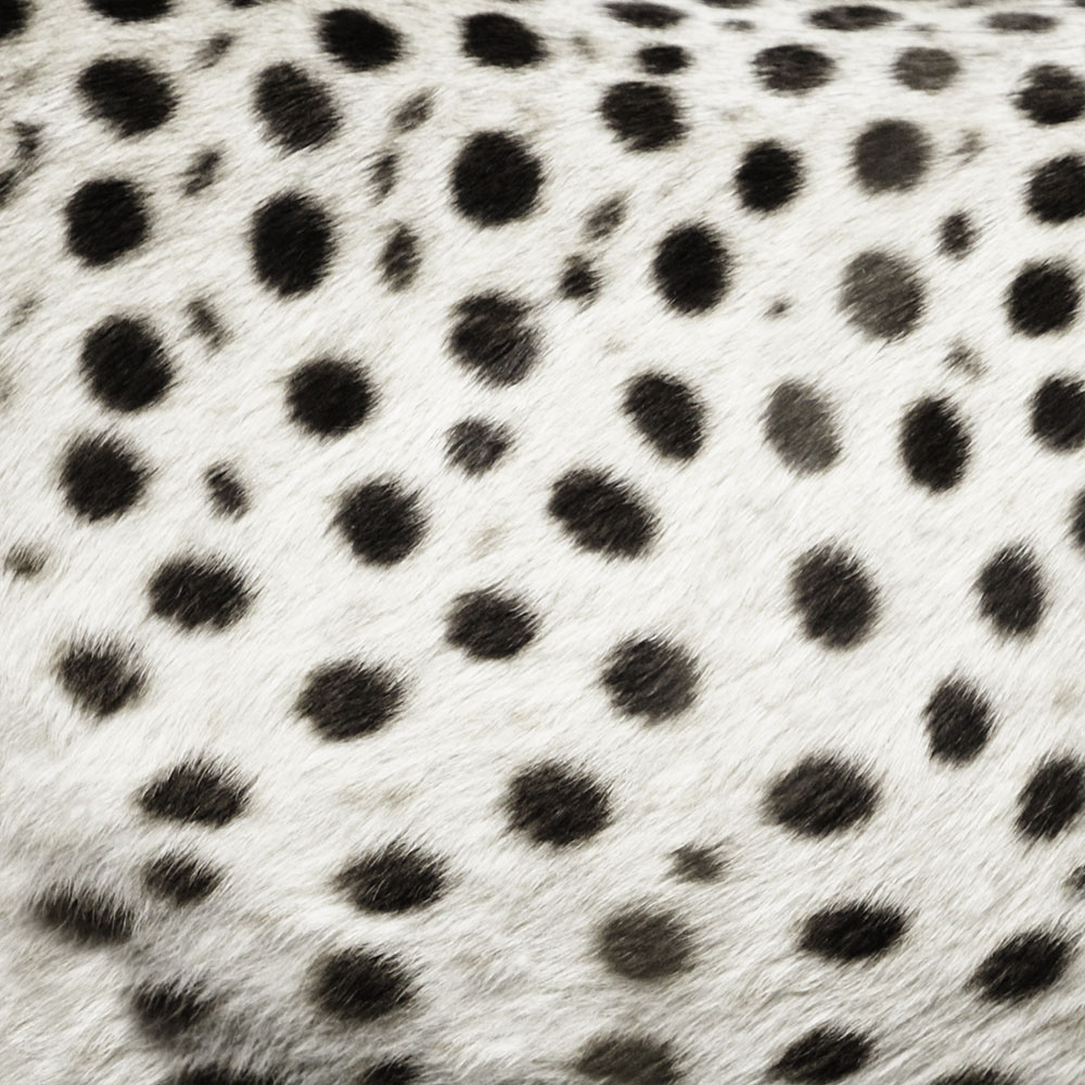 AL00695