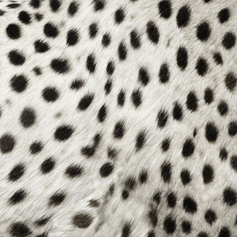 AL00696
