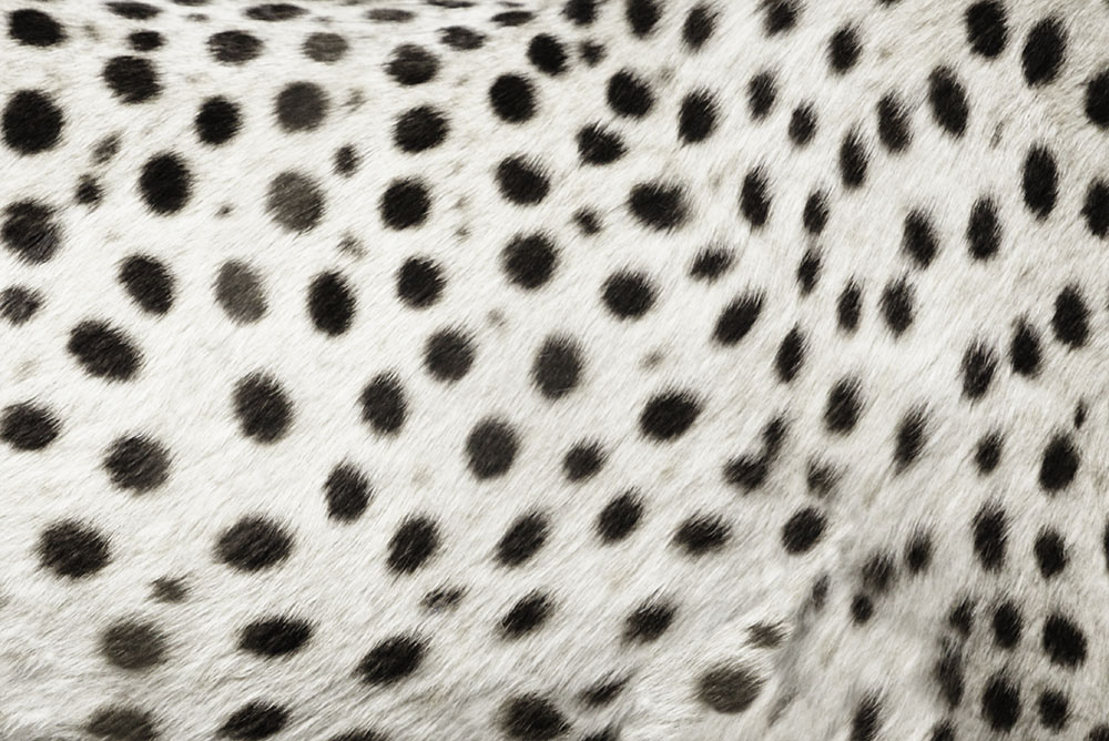 AL00698