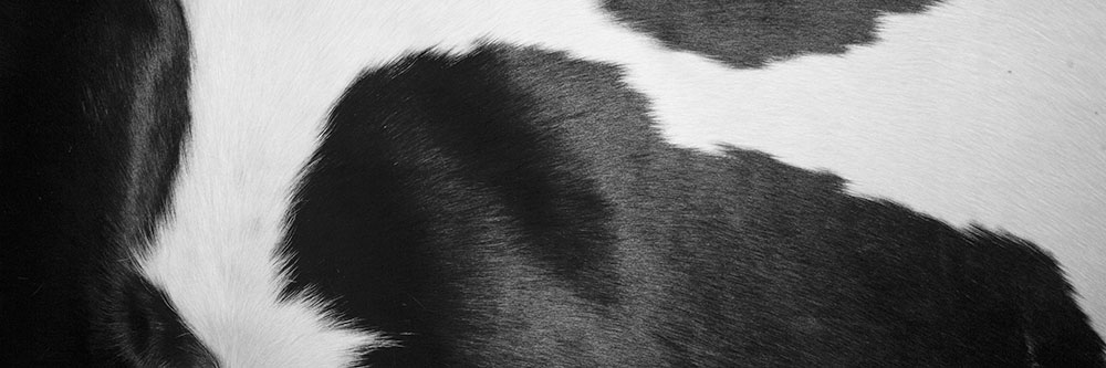 AL00752 more colors