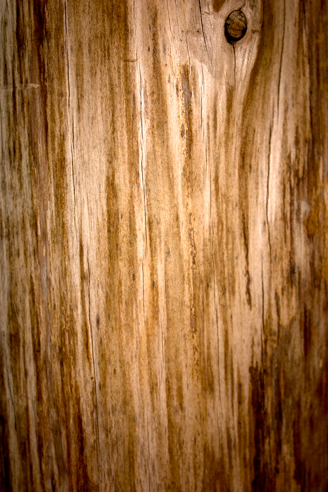 AL00800