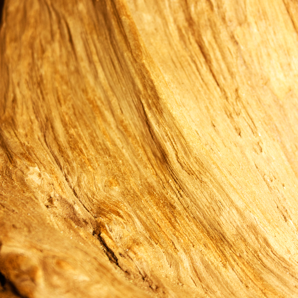 AL00806