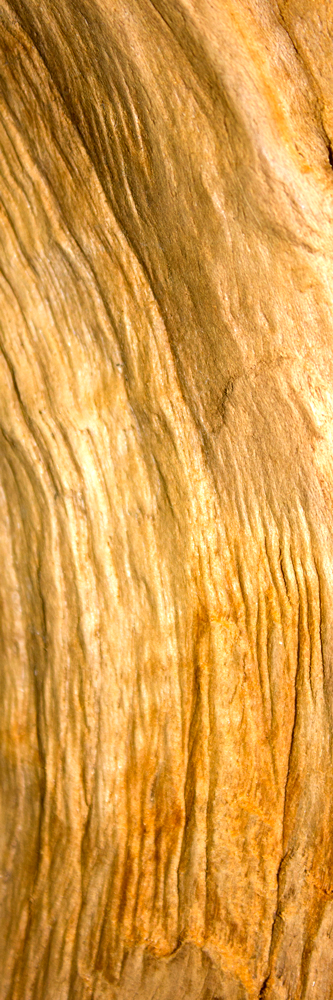 AL00808